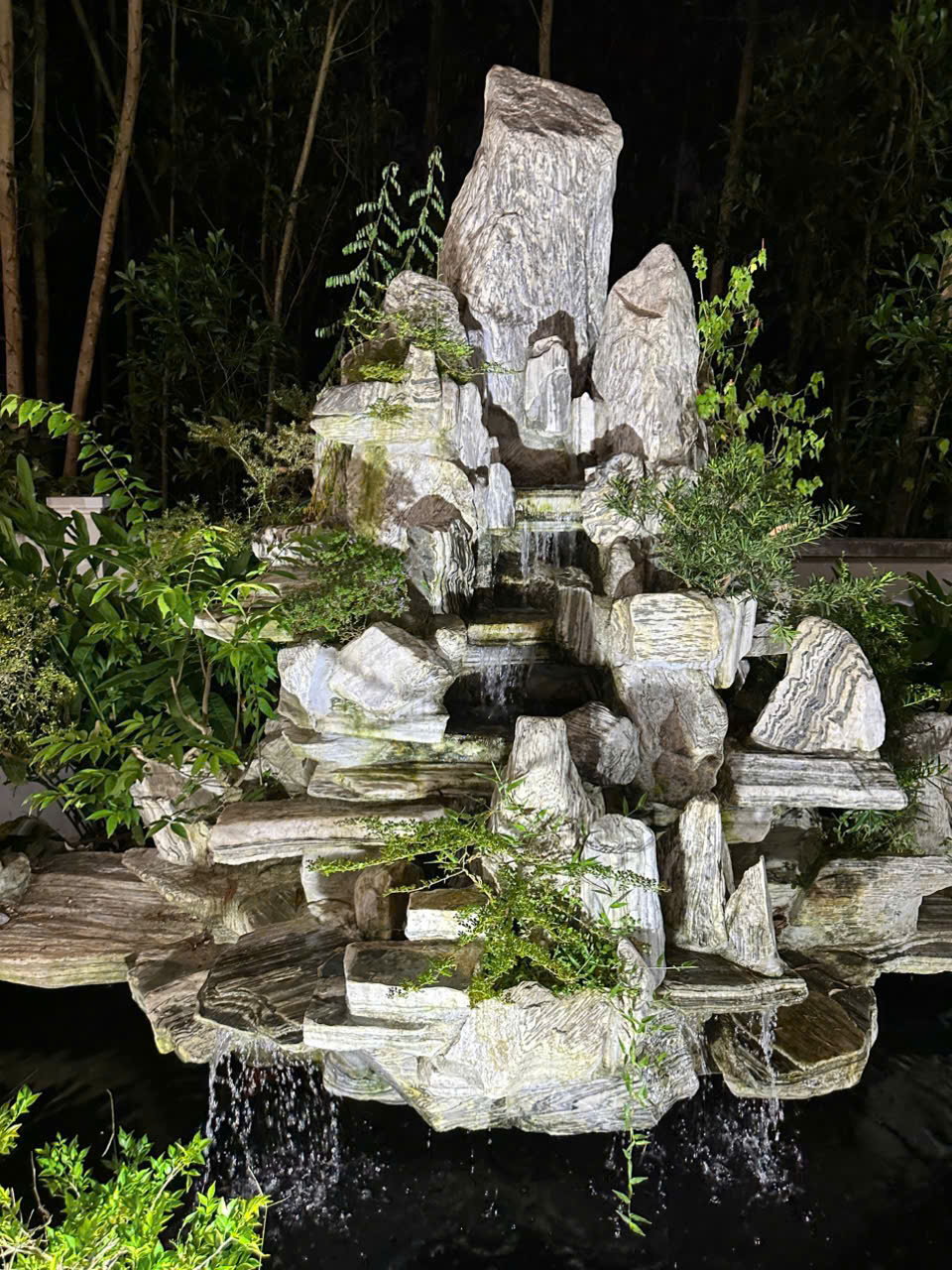 Tiểu cảnh nước